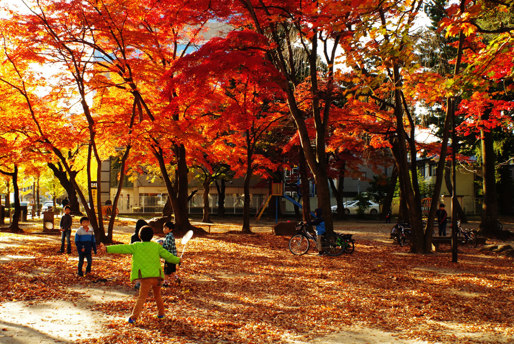 午後の公園