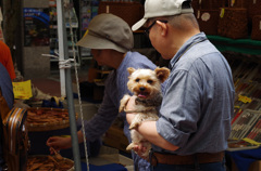 退屈だワン