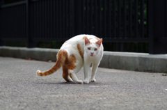 それ以上寄るな
