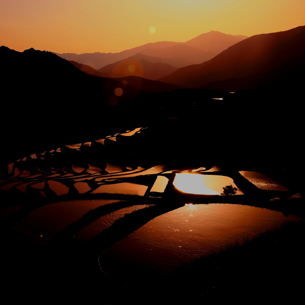 丸山千枚田の夕刻