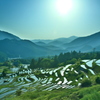 丸山千枚田