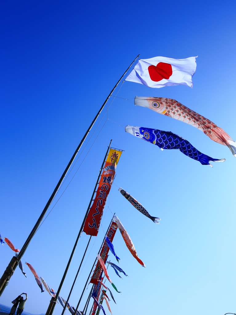 こどもの日　（日の丸）