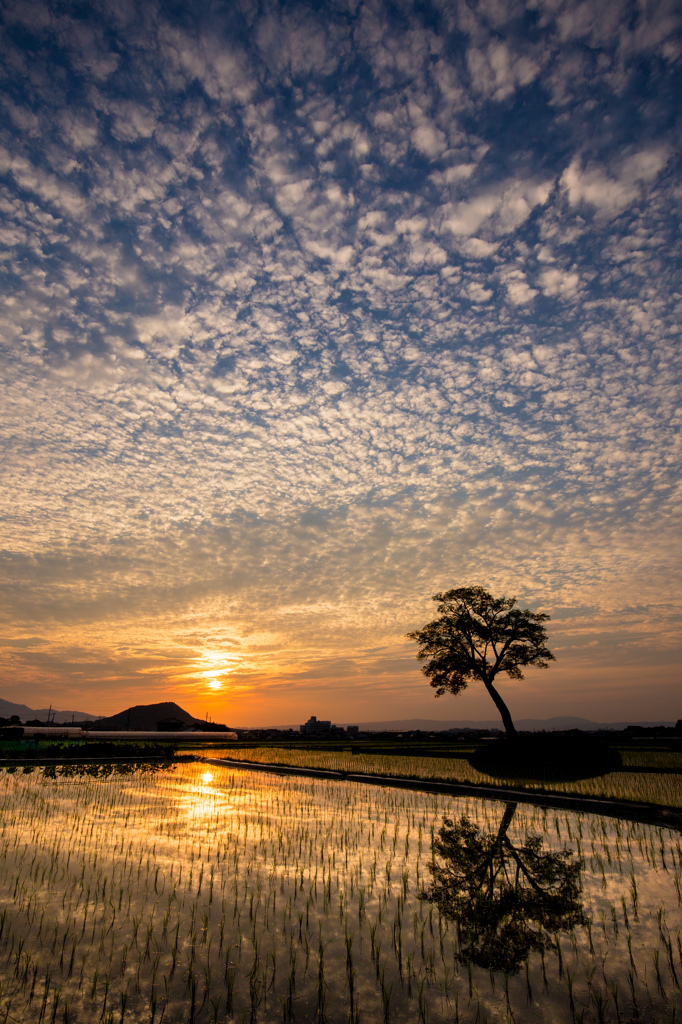 夕暮れ模様