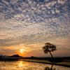 夕暮れ模様