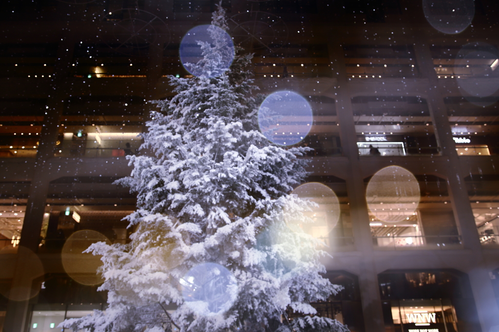 White X'max