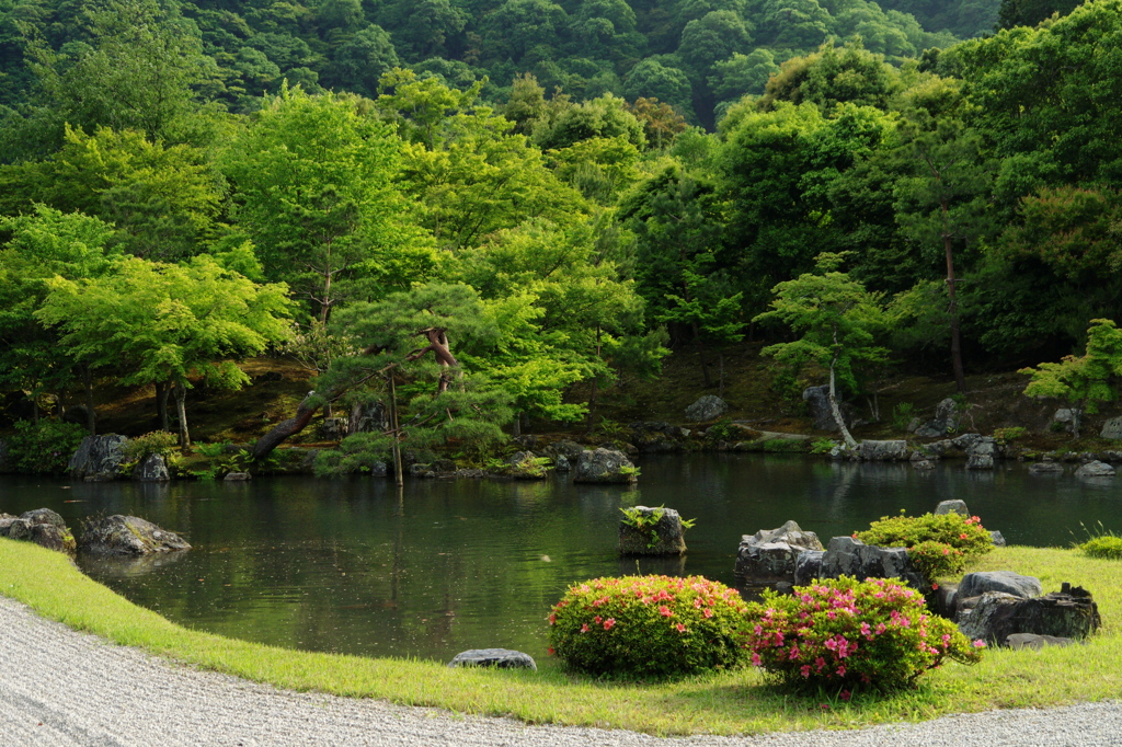 新緑の庭園