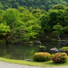 新緑の庭園