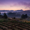 里山の夜明け