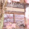 春の窓