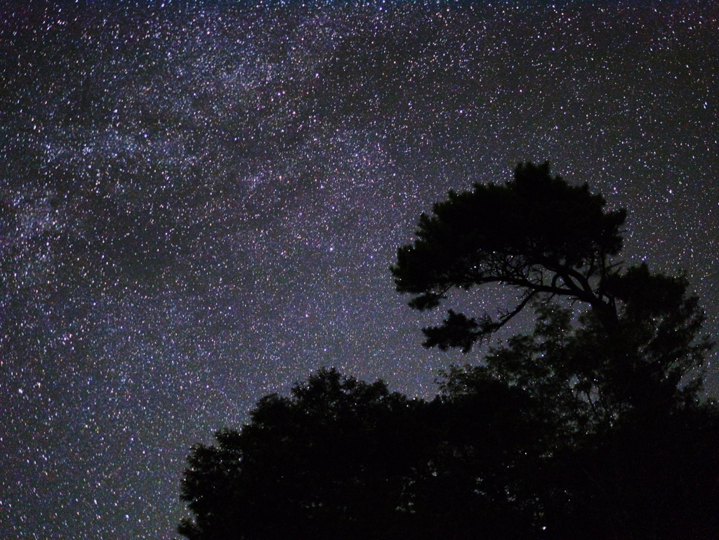 白亜紀の夜