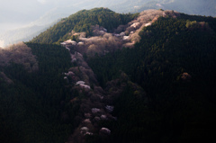 山上の舞台