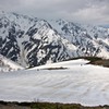 雪の下の八方池