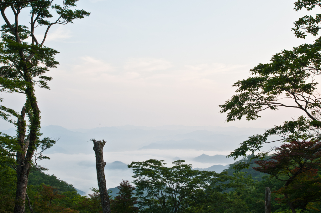 大台ケ原