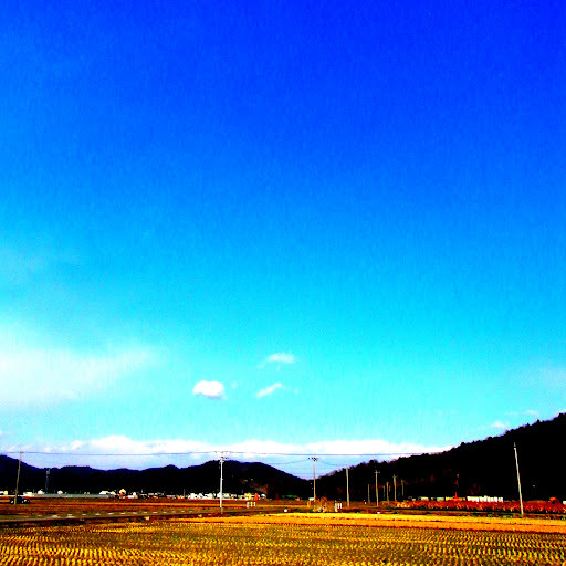 青空と田園