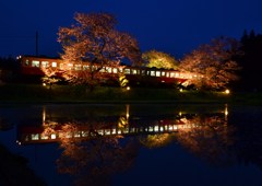 小湊鉄道と夜桜