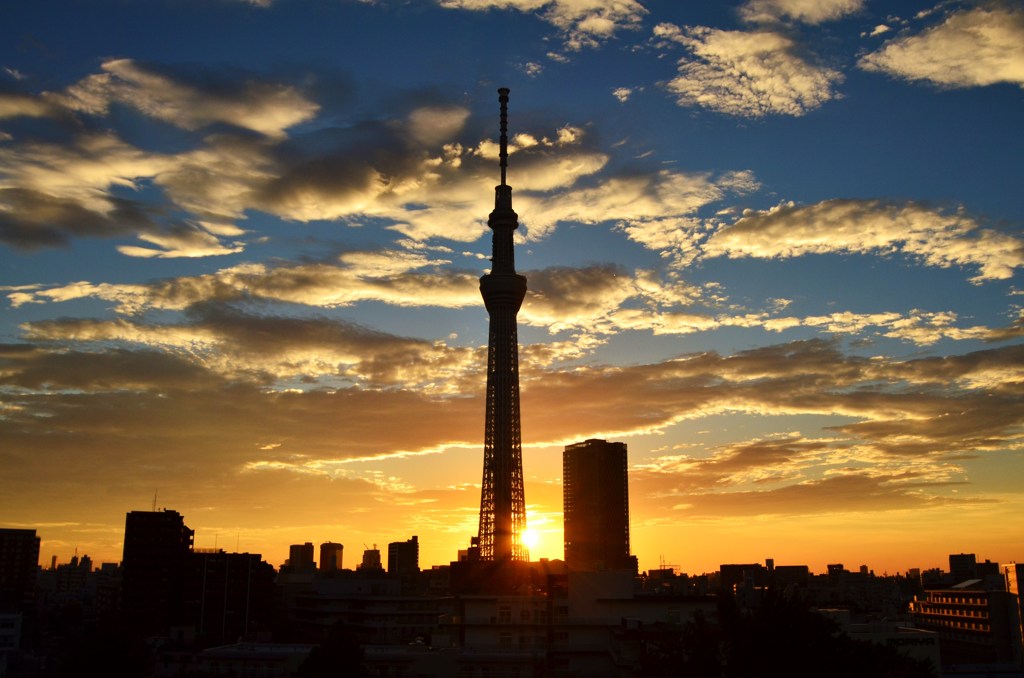 陽はまた昇る