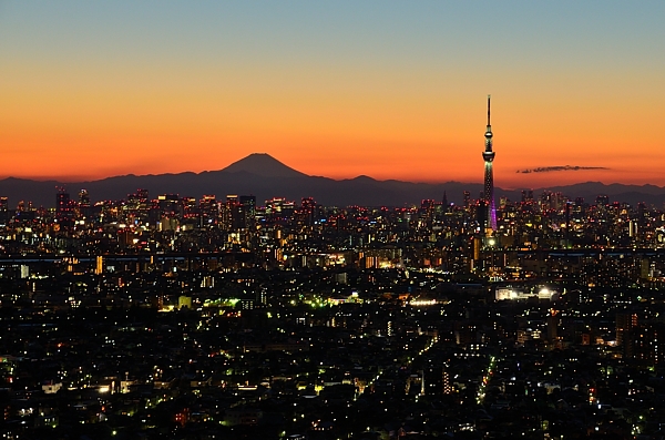 スカイツリーと富士