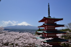 桜と富士と五重塔