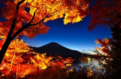 紅葉ライトアップと富士山