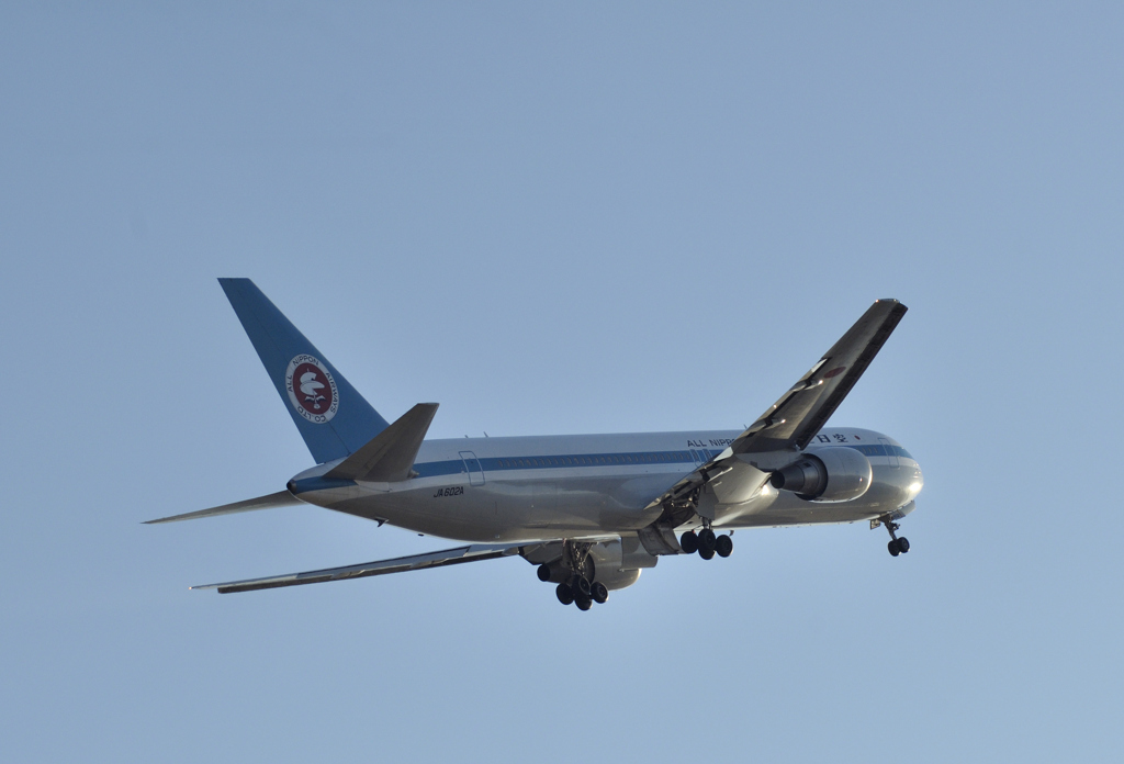 AII NIPPON AIRWAYS JA602A １