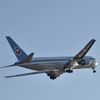 AII NIPPON AIRWAYS JA602A １