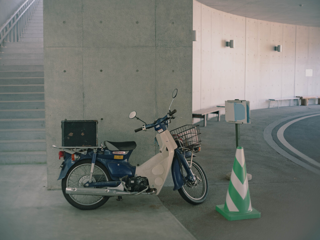 カブのある風景