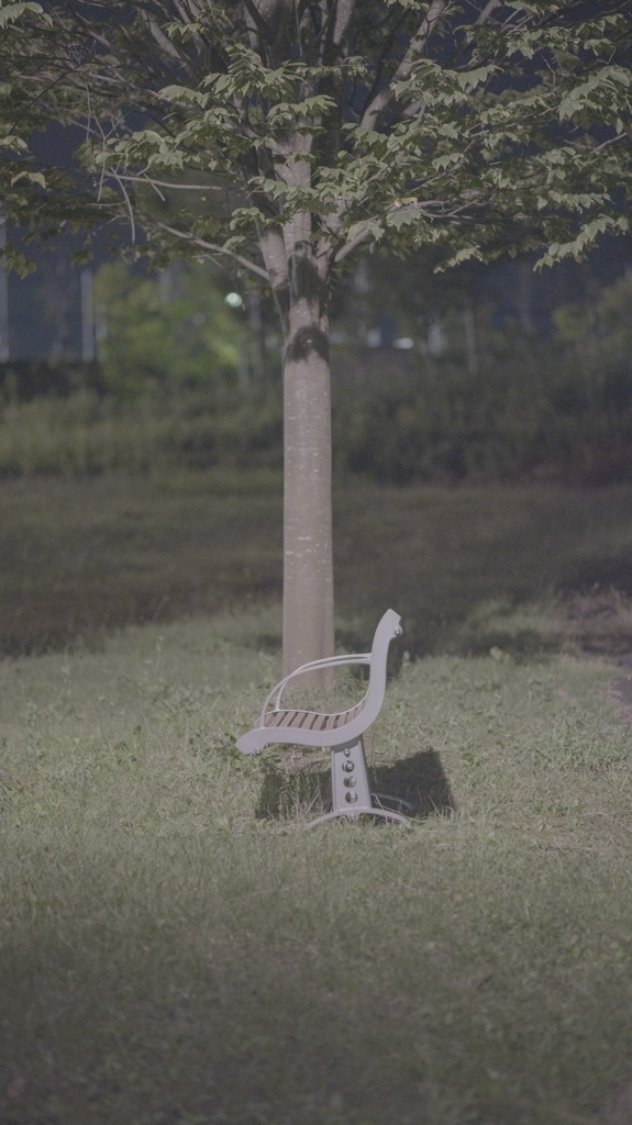 夜の公園