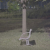 夜の公園