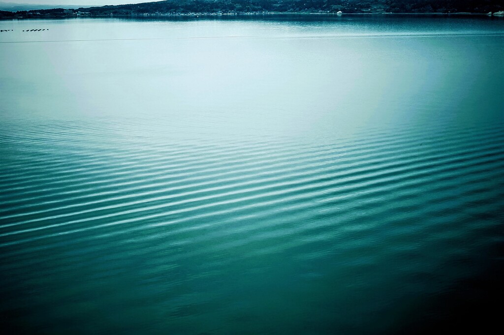 水の反映