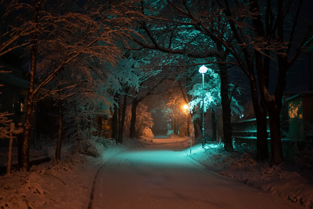 雪の夜