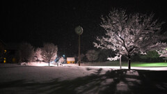 雪夜の公園