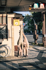 キリンの親子