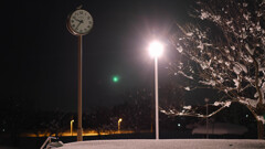 雪に消えた公園