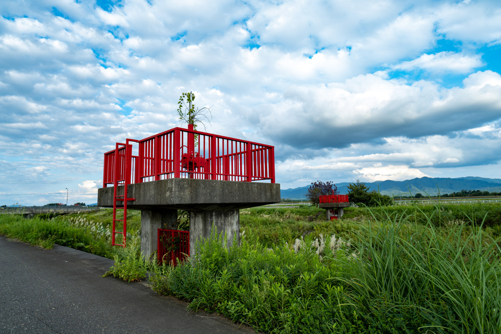 川沿いの赤いなにか