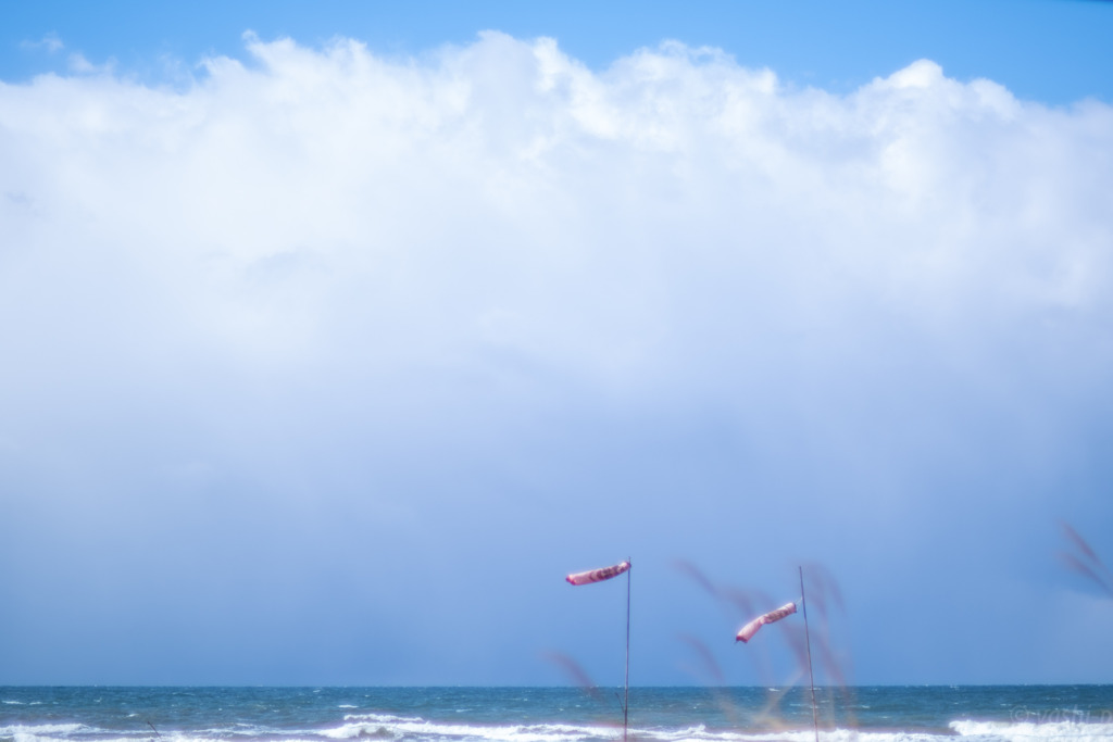 ２月の海