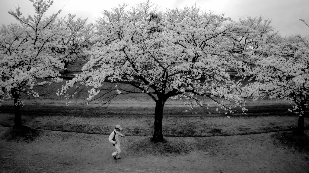 公園にて