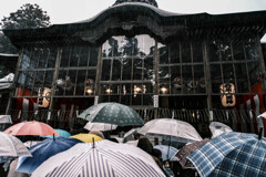 雨の初詣