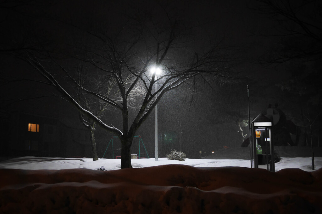 雪の街