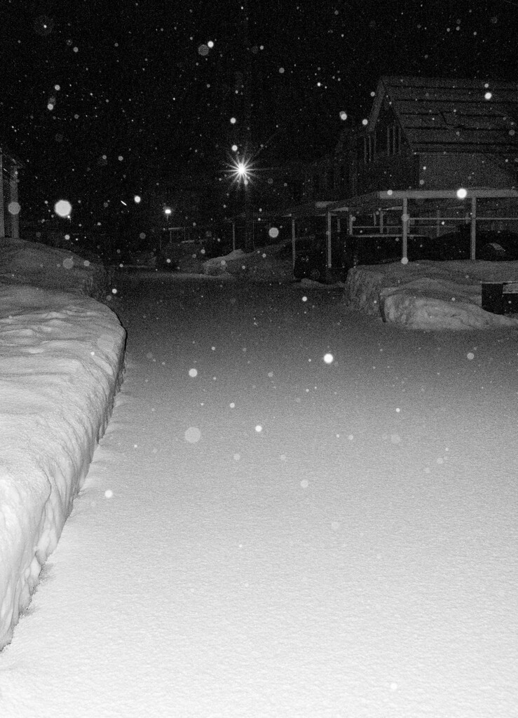 雪の街