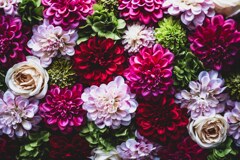 飾られた花