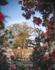 花にかこまれる高田城
