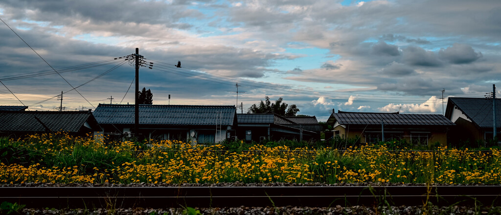 花と線路のある風景