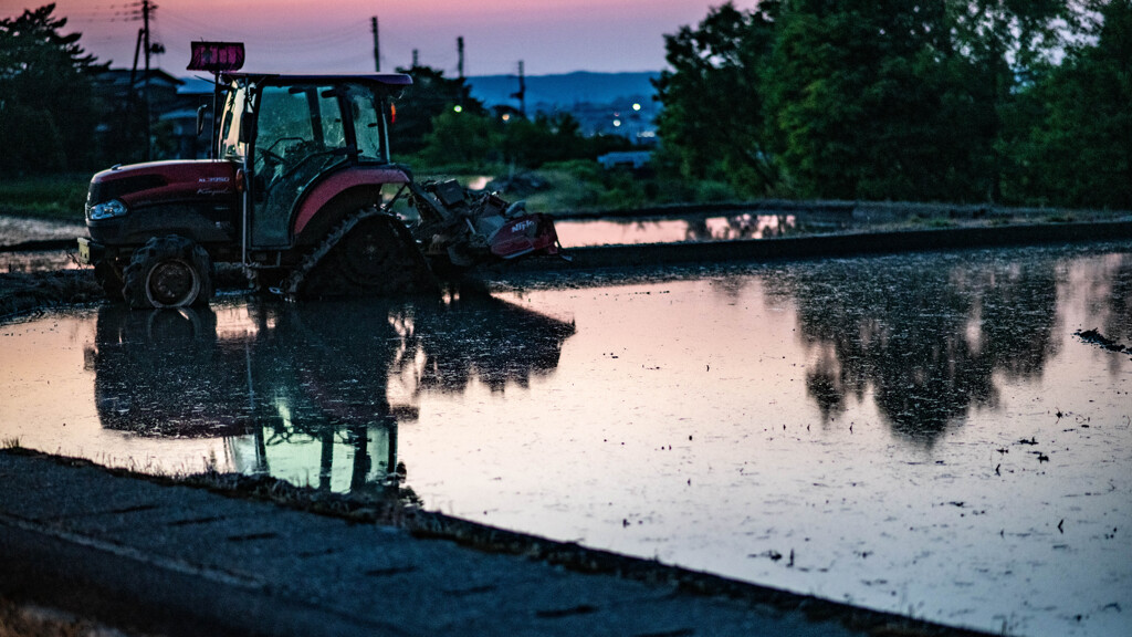 夕刻