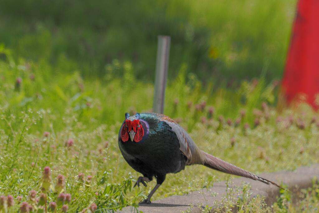 戦闘態勢