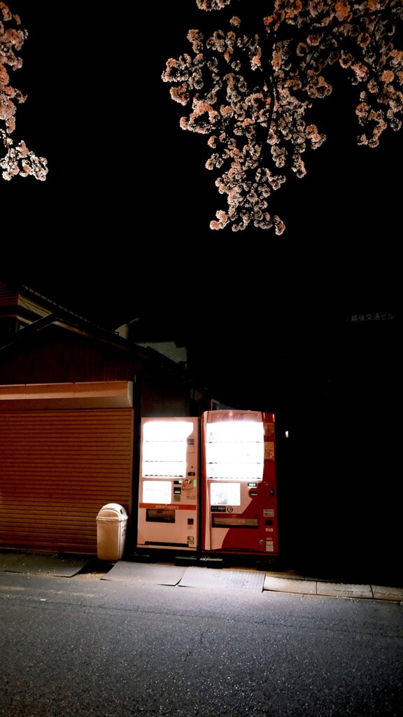 春の自販機