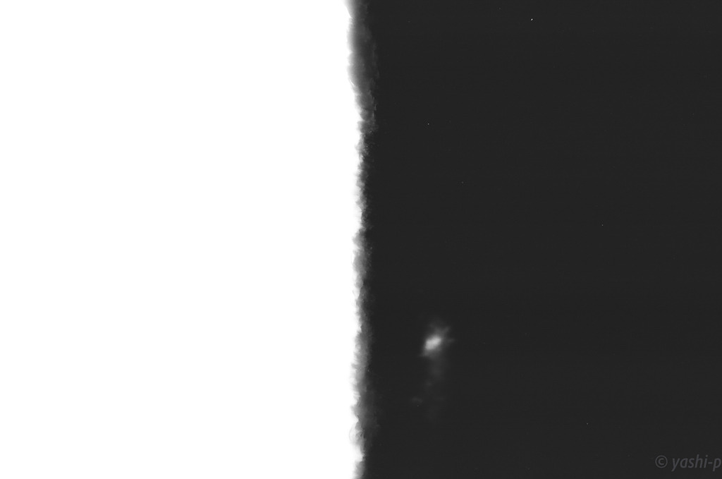モノクロフィルム