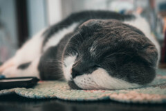 安眠