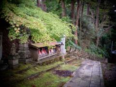 秋の寺