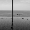 海と水族館