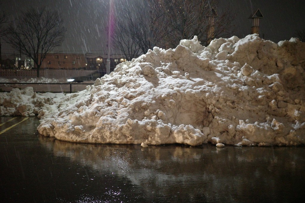 片付けられた雪